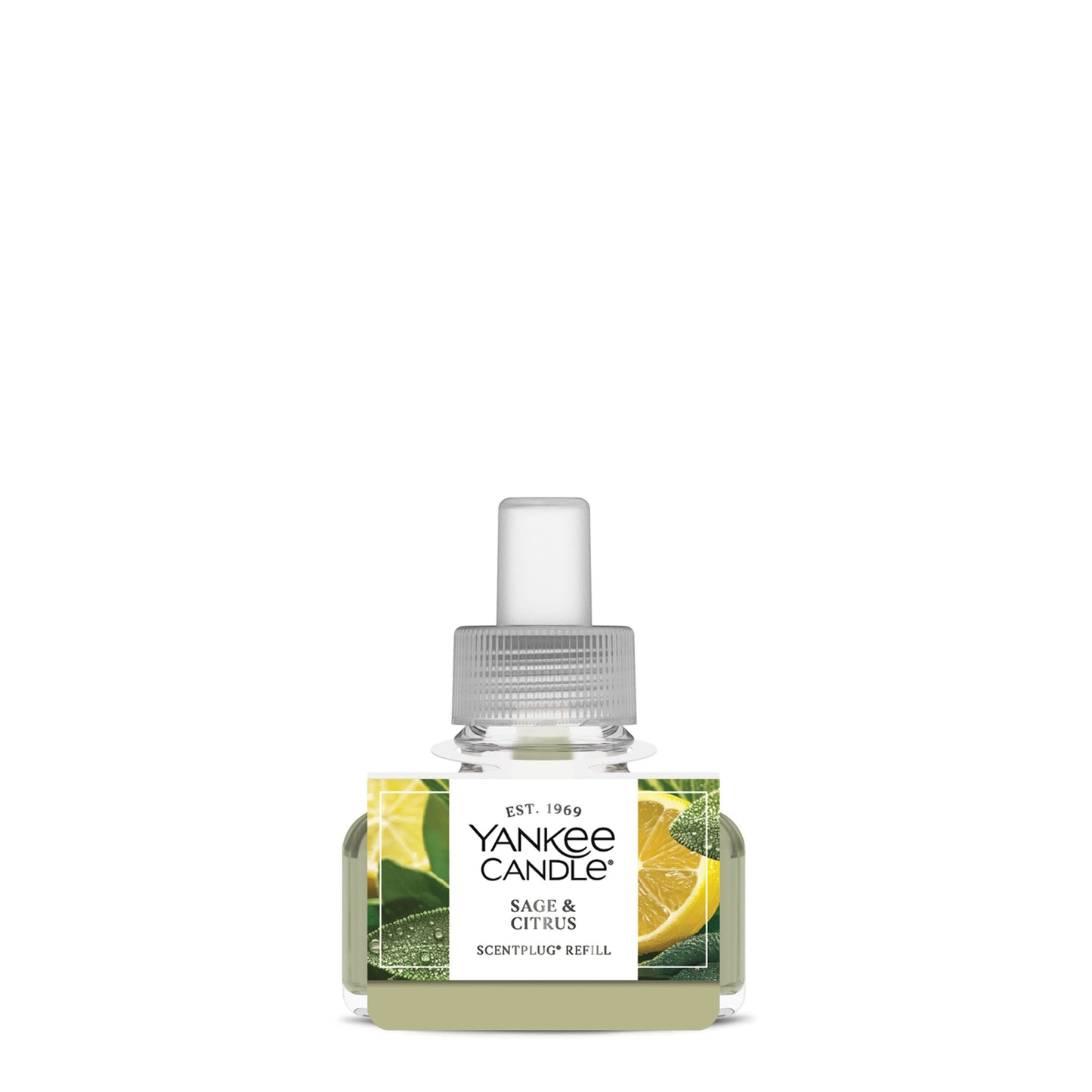 Sage & Citrus Studio 5-0751